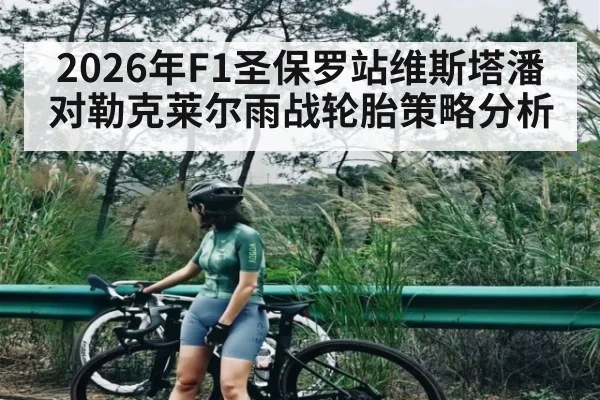 2026年F1圣保罗站维斯塔潘对勒克莱尔雨战轮胎策略分析（kaiyun）